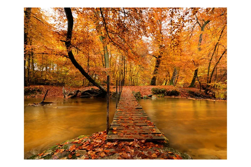 Fototapet Hösten Bro 200x154 - Artgeist sp. z o. o. - Inredning & dekor - Väggdekor - Tapeter & tapettillbehör - Fototapeter