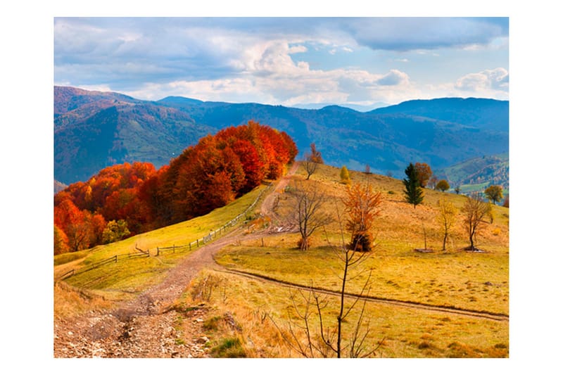 Fototapet Hösten Landskap Karpaterna 300x231, Artgeist sp. z o. o.