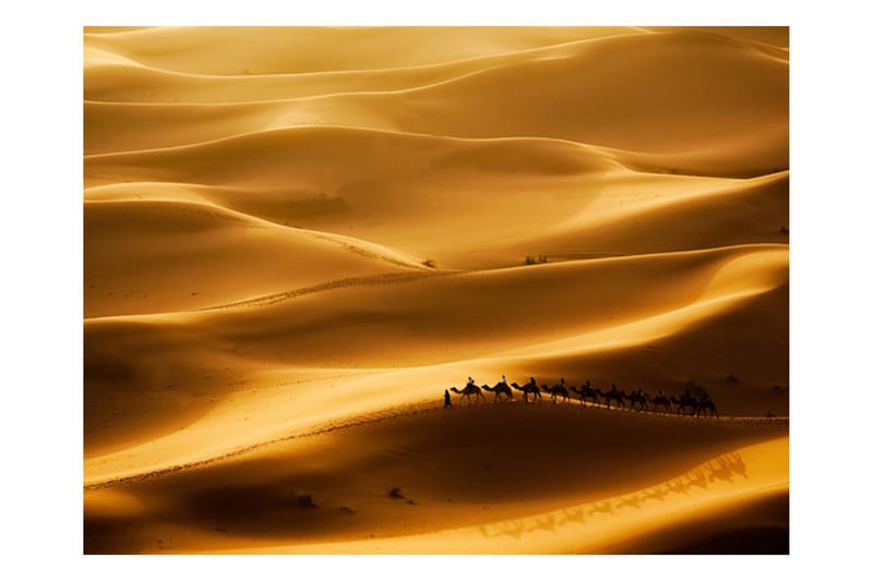 Fototapet Husvagn Av Kameler 400x309 - Artgeist sp. z o. o. - Inredning & dekor - Väggdekor - Tapeter & tapettillbehör - Fototapeter