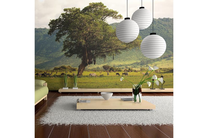 FOTOTAPET In A Crater Of Ngoro Ngoro 400x309, Artgeist sp. z o. o.