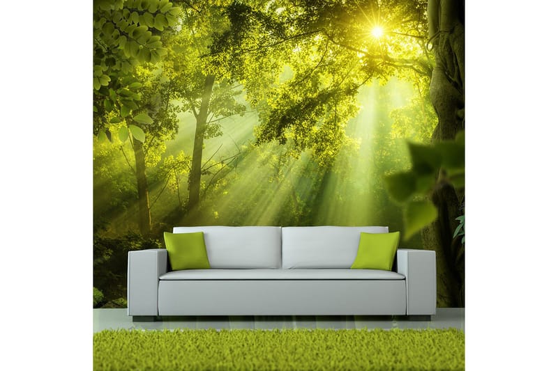 FOTOTAPET In A Secret Forest 300x210 - Artgeist sp. z o. o. - Inredning & dekor - Väggdekor - Tapeter & tapettillbehör - Fototapeter