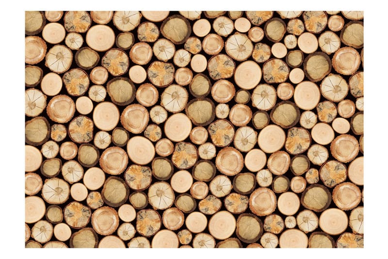 Fototapet In Sawmill 100x70 - Artgeist sp. z o. o. - Inredning & dekor - Väggdekor - Tapeter & tapettillbehör - Fototapeter