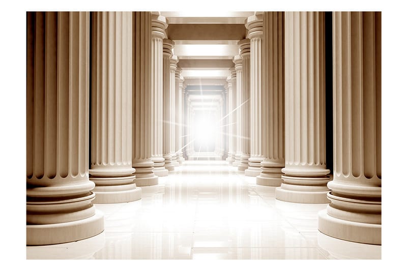 FOTOTAPET In The Ancient Pantheon 350x245 - Artgeist sp. z o. o. - Inredning & dekor - Väggdekor - Tapeter & tapettillbehör - Fototapeter