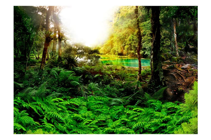 FOTOTAPET In Tropics 200x140 - Artgeist sp. z o. o. - Inredning & dekor - Väggdekor - Tapeter & tapettillbehör - Fototapeter