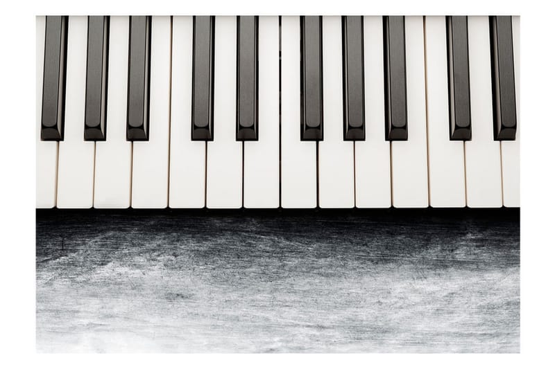 Fototapet Inspired By Chopin Grey Stone 250x175 - Artgeist sp. z o. o. - Inredning & dekor - Väggdekor - Tapeter & tapettillbehör - Fototapeter