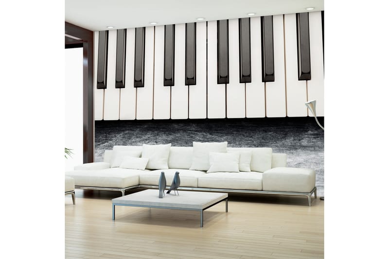 Fototapet Inspired By Chopin Grey Stone 250x175, Artgeist sp. z o. o.