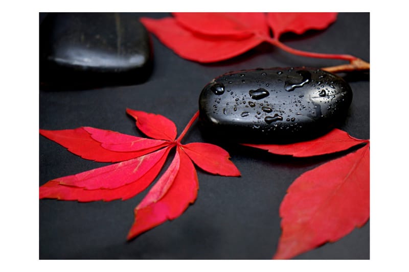 Fototapet Intensitet Av Rött 200x154 - Artgeist sp. z o. o. - Inredning & dekor - Väggdekor - Tapeter & tapettillbehör - Fototapeter