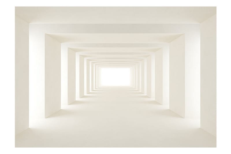 Fototapet Into The Light 350x245 - Artgeist sp. z o. o. - Inredning & dekor - Väggdekor - Tapeter & tapettillbehör - Fototapeter