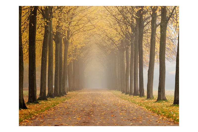 FOTOTAPET Journey To The Unknown 350x270, Artgeist sp. z o. o.