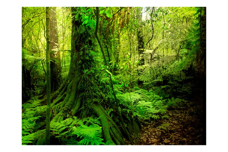 FOTOTAPET Jungle 200x154 - Artgeist sp. z o. o. - Inredning & dekor - Väggdekor - Tapeter & tapettillbehör - Fototapeter