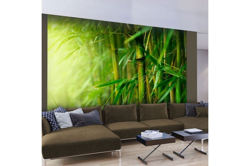 FOTOTAPET Jungle Bamboo 200x154 - Artgeist sp. z o. o. - Inredning & dekor - Väggdekor - Tapeter & tapettillbehör - Fototapeter