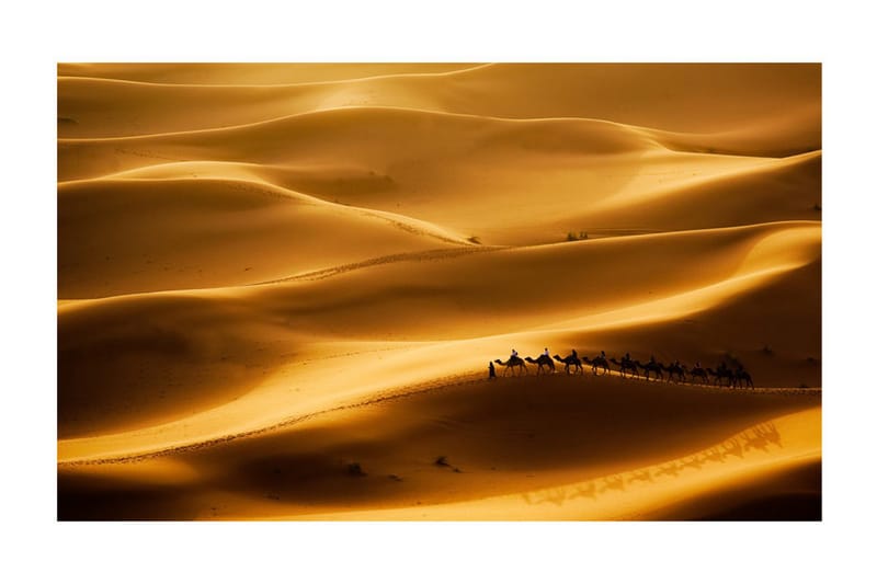 Fototapet Karavan Av Kameler 450x270 - Artgeist sp. z o. o. - Inredning & dekor - Väggdekor - Tapeter & tapettillbehör - Fototapeter