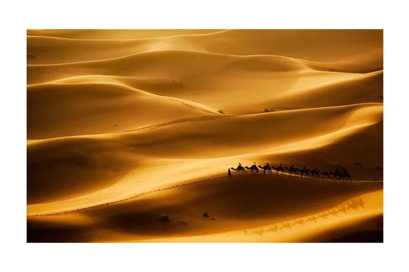 Fototapet Karavan Av Kameler 450x270 - Artgeist sp. z o. o. - Inredning & dekor - Väggdekor - Tapeter & tapettillbehör - Fototapeter