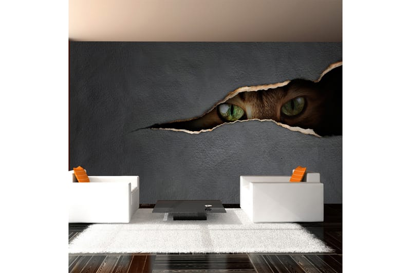FOTOTAPET Kattens Blick 450x270 - Artgeist sp. z o. o. - Inredning & dekor - Väggdekor - Tapeter & tapettillbehör - Fototapeter
