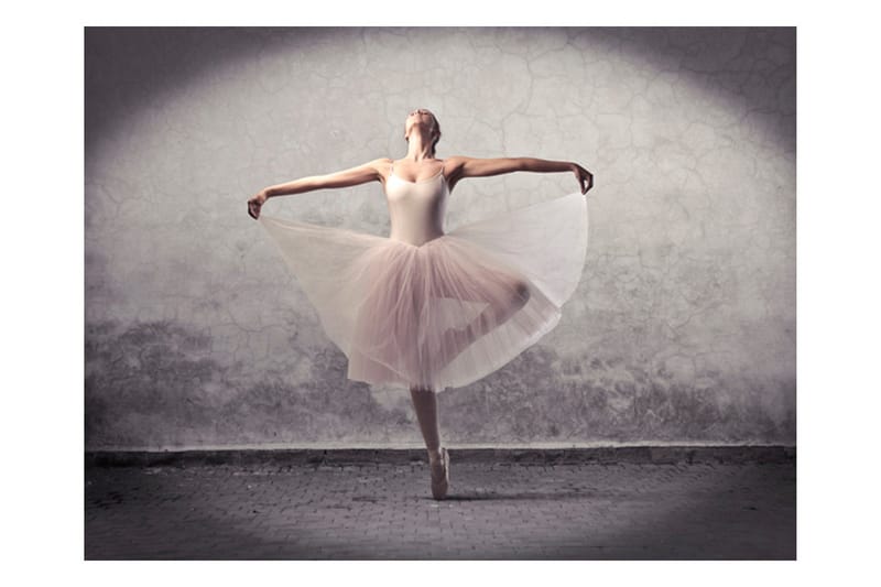 Fototapet Klassisk Dans Poesi Utan Ord 200x154 - Artgeist sp. z o. o. - Inredning & dekor - Väggdekor - Tapeter & tapettillbehör - Fototapeter