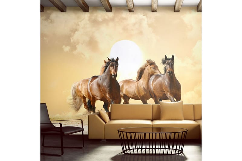 Fototapet Köra Häst 250x193 - Artgeist sp. z o. o. - Inredning & dekor - Väggdekor - Tapeter & tapettillbehör - Fototapeter