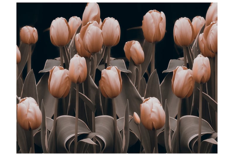 Fototapet Ladies Among The Flowers 350x270 - Artgeist sp. z o. o. - Inredning & dekor - Väggdekor - Tapeter & tapettillbehör - Fototapeter