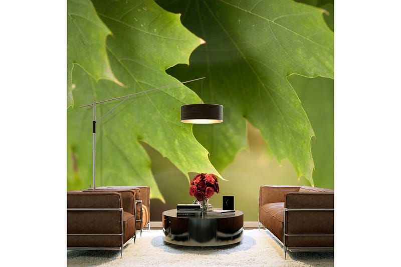 FOTOTAPET Leaves 250x193, Artgeist sp. z o. o.