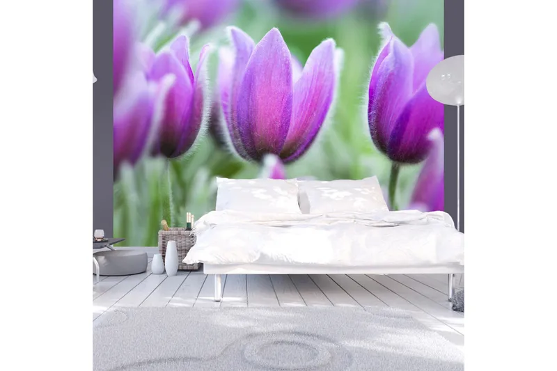 Fototapet Lila Våren Tulpaner 350x270, Artgeist sp. z o. o.