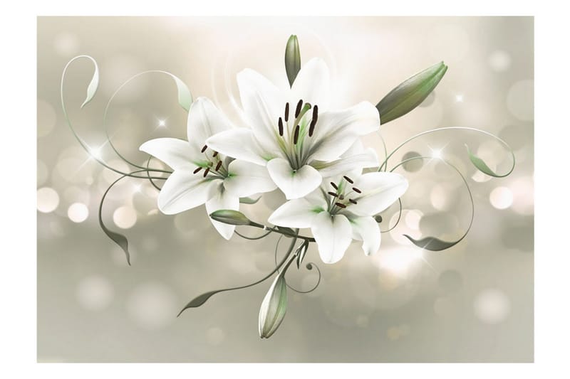 Fototapet Lily Flower Of Masters 350x245 - Artgeist sp. z o. o. - Inredning & dekor - Väggdekor - Tapeter & tapettillbehör - Fototapeter