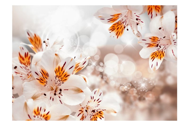 FOTOTAPET Lily Of The Incas 100x70 - Artgeist sp. z o. o. - Inredning & dekor - Väggdekor - Tapeter & tapettillbehör - Fototapeter