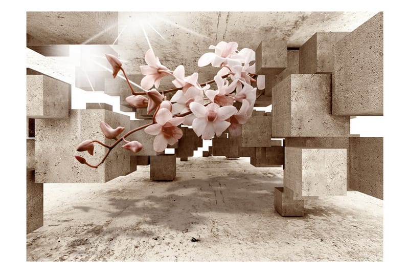 Fototapet Little Miracles 350x245 - Artgeist sp. z o. o. - Inredning & dekor - Väggdekor - Tapeter & tapettillbehör - Fototapeter