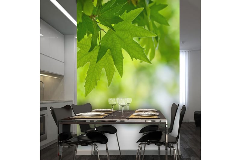 Fototapet Löv Shallow Focus 350x270, Artgeist sp. z o. o.