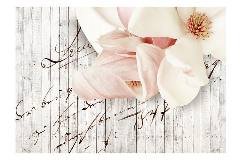 FOTOTAPET Love Letter 100x70 - Artgeist sp. z o. o. - Inredning & dekor - Väggdekor - Tapeter & tapettillbehör - Fototapeter