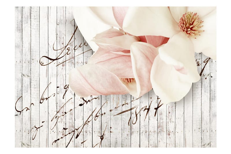 Fototapet Love Letter 250x175 - Artgeist sp. z o. o. - Inredning & dekor - Väggdekor - Tapeter & tapettillbehör - Fototapeter