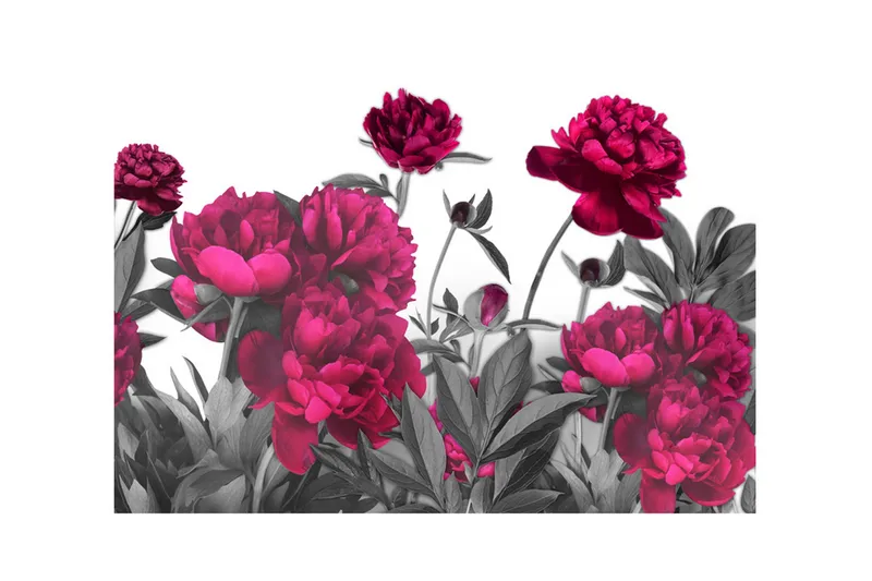 Fototapet Lush Meadow 250x175 - Artgeist sp. z o. o. - Inredning & dekor - Väggdekor - Tapeter & tapettillbehör - Fototapeter