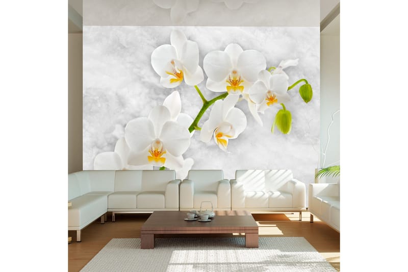 Fototapet Lyrical Orchid White 200x140, Artgeist sp. z o. o.