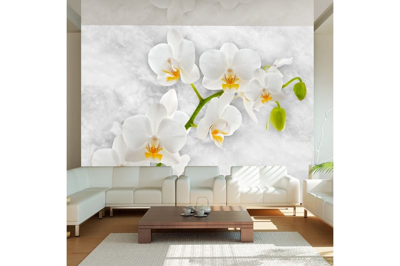 FOTOTAPET Lyrical Orchid White 300x210 - Artgeist sp. z o. o. - Inredning & dekor - Väggdekor - Tapeter & tapettillbehör - Fototapeter