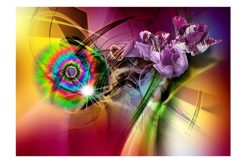 Fototapet Magic Light Of Colors 150x105 - Artgeist sp. z o. o. - Inredning & dekor - Väggdekor - Tapeter & tapettillbehör - Fototapeter