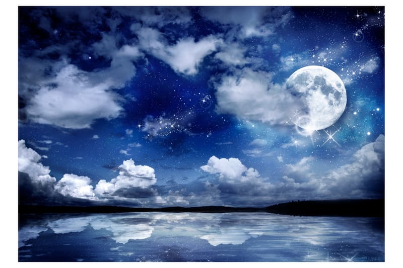 FOTOTAPET Magic Night 350x245 - Artgeist sp. z o. o. - Inredning & dekor - Väggdekor - Tapeter & tapettillbehör - Fototapeter