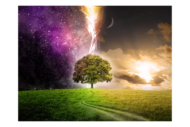 Fototapet Magic Tree 350x270 - Artgeist sp. z o. o. - Inredning & dekor - Väggdekor - Tapeter & tapettillbehör - Fototapeter