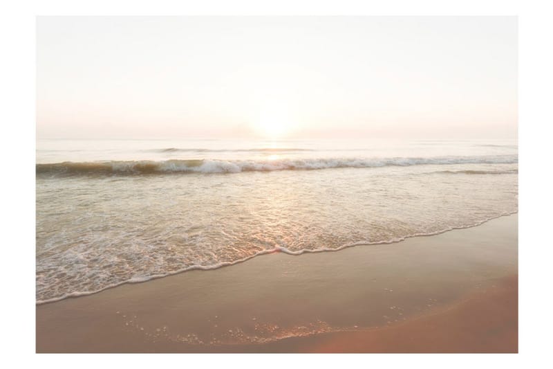 Fototapet Magnificent Morning 100x70 - Artgeist sp. z o. o. - Inredning & dekor - Väggdekor - Tapeter & tapettillbehör - Fototapeter