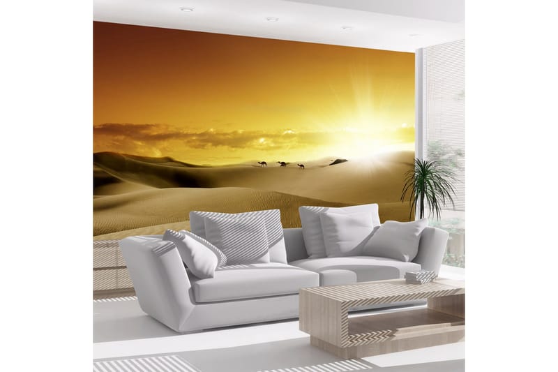Fototapet March Of Camels 250x175, Artgeist sp. z o. o.