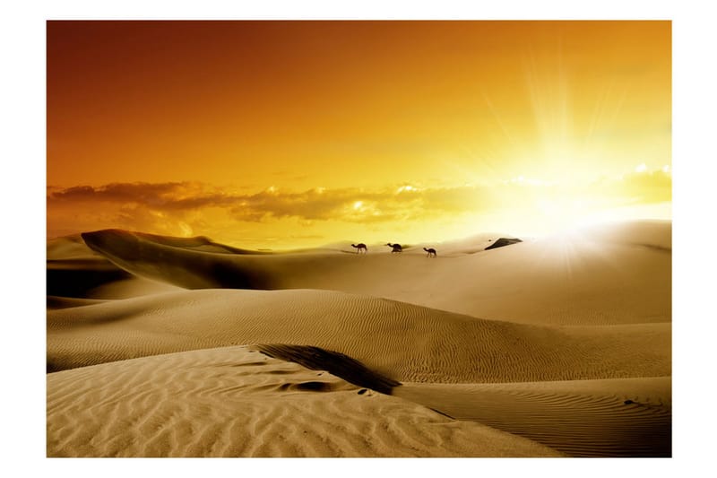 Fototapet March Of Camels 300x210 - Artgeist sp. z o. o. - Inredning & dekor - Väggdekor - Tapeter & tapettillbehör - Fototapeter