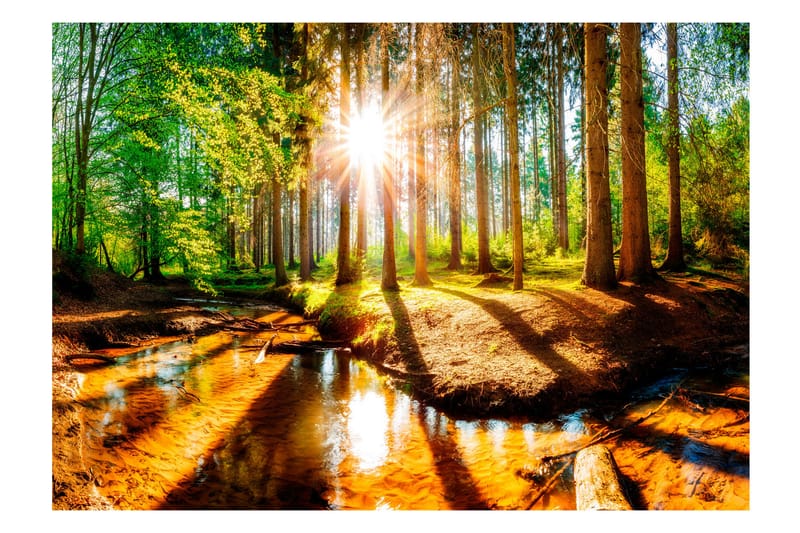 FOTOTAPET Marvelous Forest 100x70 - Artgeist sp. z o. o. - Inredning & dekor - Väggdekor - Tapeter & tapettillbehör - Fototapeter