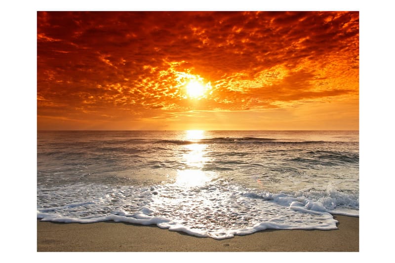 Fototapet Marvelous Sunset 350x270 - Artgeist sp. z o. o. - Inredning & dekor - Väggdekor - Tapeter & tapettillbehör - Fototapeter