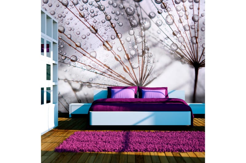 Fototapet Maskros Och Morgondagg 200x154 - Artgeist sp. z o. o. - Inredning & dekor - Väggdekor - Tapeter & tapettillbehör - Fototapeter