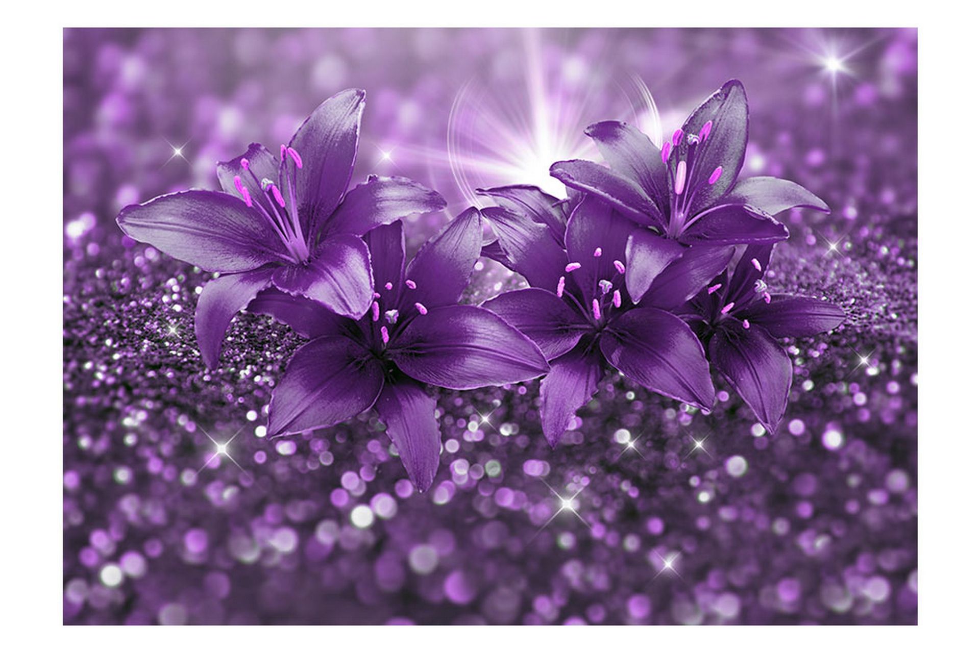 FOTOTAPET Masterpiece Of Purple 300x210 - Artgeist sp. z o. o. - Inredning & dekor - Väggdekor - Tapeter & tapettillbehör - Fototapeter