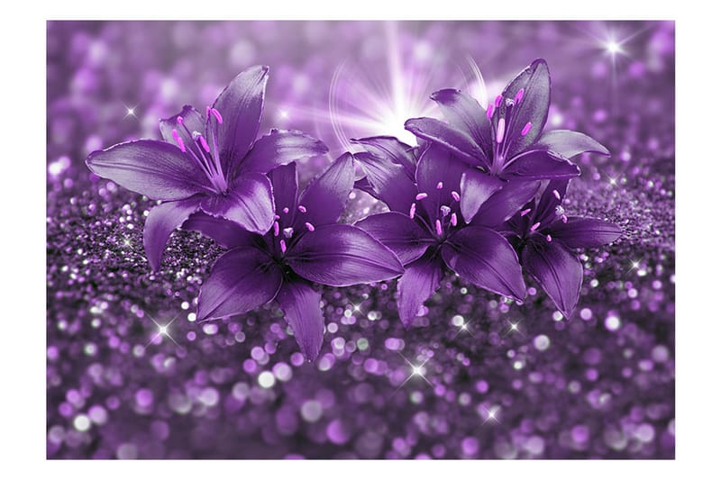 FOTOTAPET Masterpiece Of Purple 300x210 - Artgeist sp. z o. o. - Inredning & dekor - Väggdekor - Tapeter & tapettillbehör - Fototapeter