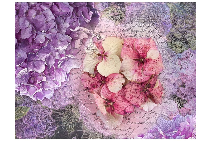 Fototapet Memoir 350x270, Artgeist sp. z o. o.