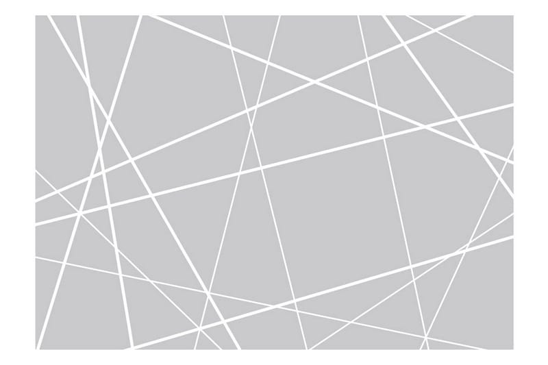 Fototapet Modern Cobweb 300x210 - Artgeist sp. z o. o. - Inredning & dekor - Väggdekor - Tapeter & tapettillbehör - Fototapeter