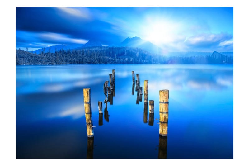 FOTOTAPET Moments Of Solitude 200x140 - Artgeist sp. z o. o. - Inredning & dekor - Väggdekor - Tapeter & tapettillbehör - Fototapeter