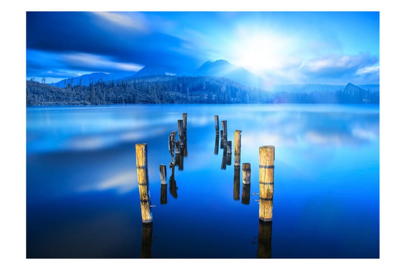 FOTOTAPET Moments Of Solitude 300x210 - Artgeist sp. z o. o. - Inredning & dekor - Väggdekor - Tapeter & tapettillbehör - Fototapeter