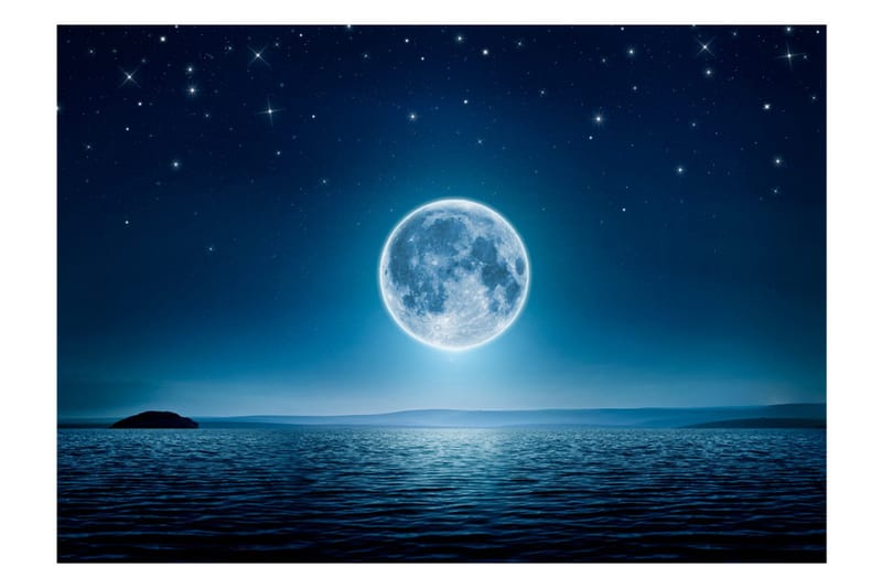 Fototapet Moonlit Night 150x105 - Artgeist sp. z o. o. - Inredning & dekor - Väggdekor - Tapeter & tapettillbehör - Fototapeter