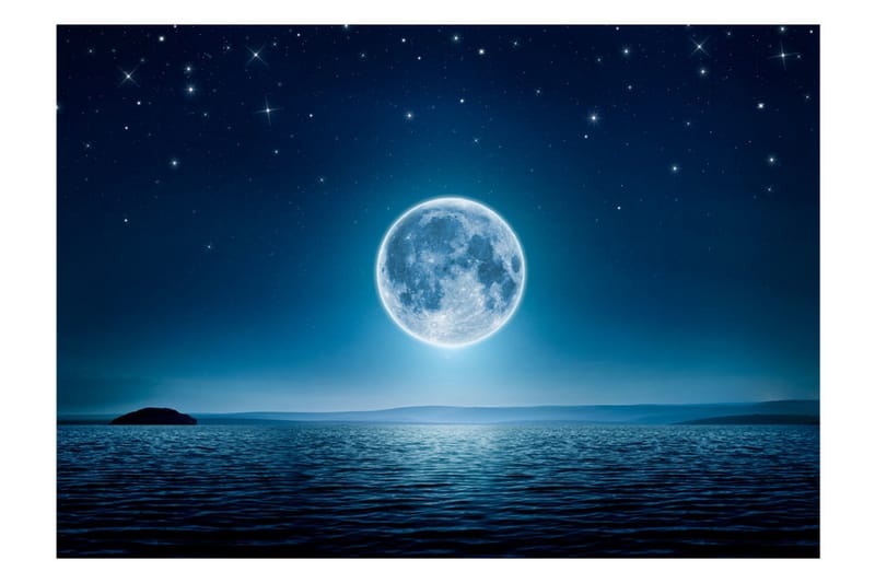 FOTOTAPET Moonlit Night 300x210 - Artgeist sp. z o. o. - Inredning & dekor - Väggdekor - Tapeter & tapettillbehör - Fototapeter