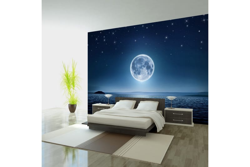 FOTOTAPET Moonlit Night 300x210 - Artgeist sp. z o. o. - Inredning & dekor - Väggdekor - Tapeter & tapettillbehör - Fototapeter